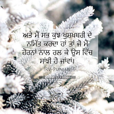 Picture 07 - 1 ਕੁਰਿੰਥੀਆਂ 9:23 PANIRV - ਅਤੇ ਮੈਂ ਸਭ ਕੁਝ - Bible Verse Picture