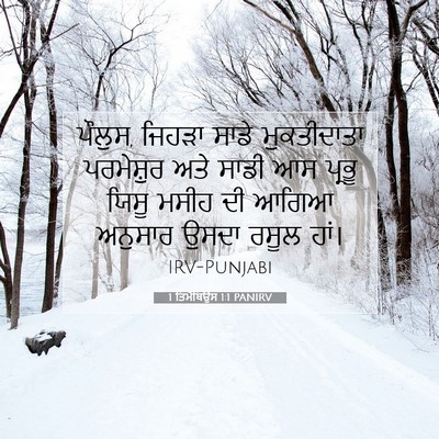 Picture 07 - 1 ਤਿਮੋਥਿਉਸ 1:1 PANIRV - ਪੌਲੁਸ, ਜਿਹੜਾ ਸਾਡੇ - Bible Verse Picture