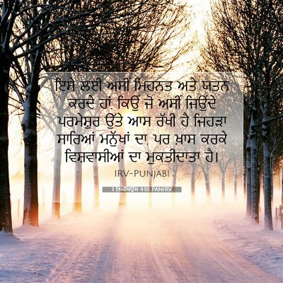 Picture 07 - 1 ਤਿਮੋਥਿਉਸ 4:10 PANIRV - ਇਸੇ ਲਈ ਅਸੀਂ ਮਿਹਨਤ - Bible Verse Picture