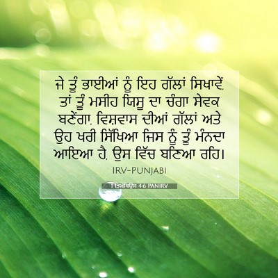 Picture 07 - 1 ਤਿਮੋਥਿਉਸ 4:6 PANIRV - ਜੇ ਤੂੰ ਭਾਈਆਂ ਨੂੰ ਇਹ - Bible Verse Picture