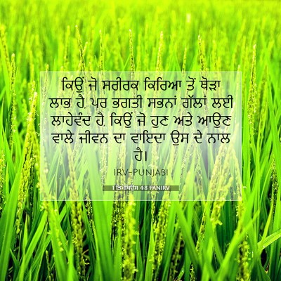 Picture 07 - 1 ਤਿਮੋਥਿਉਸ 4:8 PANIRV - ਕਿਉਂ ਜੋ ਸਰੀਰਕ - Bible Verse Picture