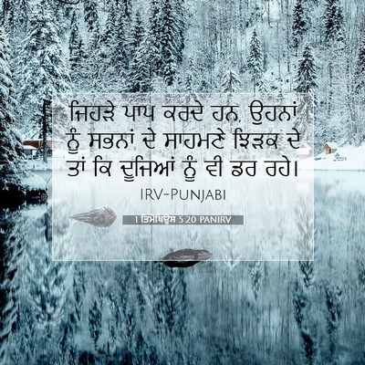 Picture 07 - 1 ਤਿਮੋਥਿਉਸ 5:20 PANIRV - ਜਿਹੜੇ ਪਾਪ ਕਰਦੇ ਹਨ, - Bible Verse Picture