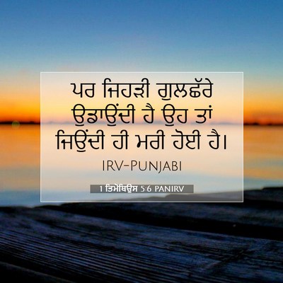 Picture 07 - 1 ਤਿਮੋਥਿਉਸ 5:6 PANIRV - ਪਰ ਜਿਹੜੀ ਗੁਲਛੱਰੇ - Bible Verse Picture