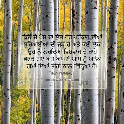 Picture 07 - 1 ਤਿਮੋਥਿਉਸ 6:10 PANIRV - ਕਿਉਂ ਜੋ ਪੈਸੇ ਦਾ ਲੋਭ - Bible Verse Picture