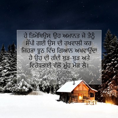 Picture 07 - 1 ਤਿਮੋਥਿਉਸ 6:20 PANIRV - ਹੇ ਤਿਮੋਥਿਉਸ, ਉਹ - Bible Verse Picture
