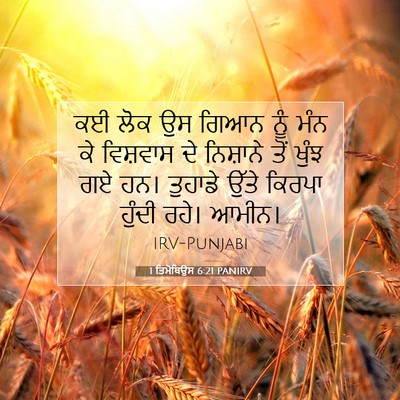 Picture 07 - 1 ਤਿਮੋਥਿਉਸ 6:21 PANIRV - ਕਈ ਲੋਕ ਉਸ ਗਿਆਨ ਨੂੰ - Bible Verse Picture