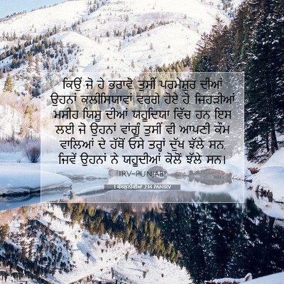 Picture 07 - 1 ਥੱਸਲੁਨੀਕੀਆਂ 2:14 PANIRV - ਕਿਉਂ ਜੋ ਹੇ ਭਰਾਵੋ, - Bible Verse Picture