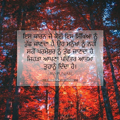 Picture 07 - 1 ਥੱਸਲੁਨੀਕੀਆਂ 4:8 PANIRV - ਇਸ ਕਾਰਨ ਜੋ ਕੋਈ ਇਸ - Bible Verse Picture