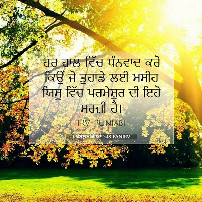 Picture 07 - 1 ਥੱਸਲੁਨੀਕੀਆਂ 5:18 PANIRV - ਹਰ ਹਾਲ ਵਿੱਚ ਧੰਨਵਾਦ - Bible Verse Picture