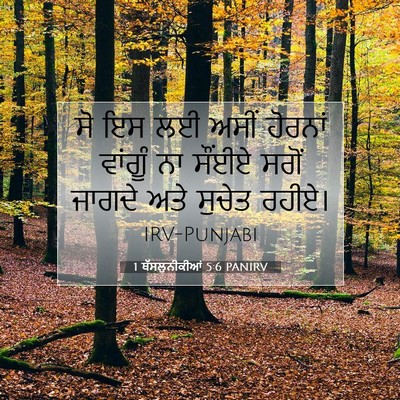 Picture 07 - 1 ਥੱਸਲੁਨੀਕੀਆਂ 5:6 PANIRV - ਸੋ ਇਸ ਲਈ ਅਸੀਂ - Bible Verse Picture