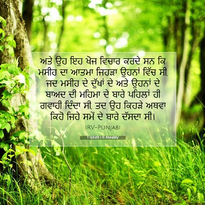 Picture 07 - 1 ਪਤਰਸ 1:11 PANIRV - ਅਤੇ ਉਹ ਇਹ ਖੋਜ ਵਿਚਾਰ - Bible Verse Picture