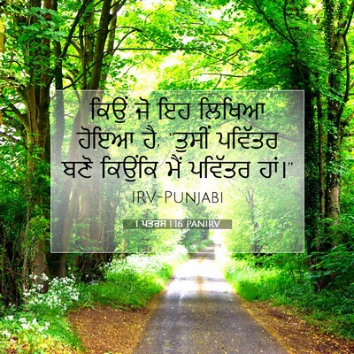 Picture 07 - 1 ਪਤਰਸ 1:16 PANIRV - ਕਿਉਂ ਜੋ ਇਹ ਲਿਖਿਆ - Bible Verse Picture