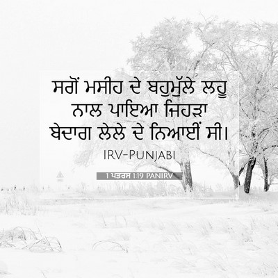 Picture 07 - 1 ਪਤਰਸ 1:19 PANIRV - ਸਗੋਂ ਮਸੀਹ ਦੇ - Bible Verse Picture