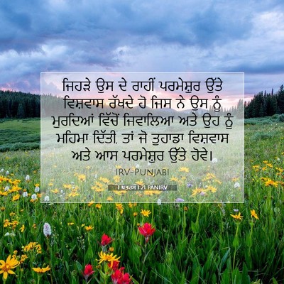 Picture 07 - 1 ਪਤਰਸ 1:21 PANIRV - ਜਿਹੜੇ ਉਸ ਦੇ ਰਾਹੀਂ - Bible Verse Picture