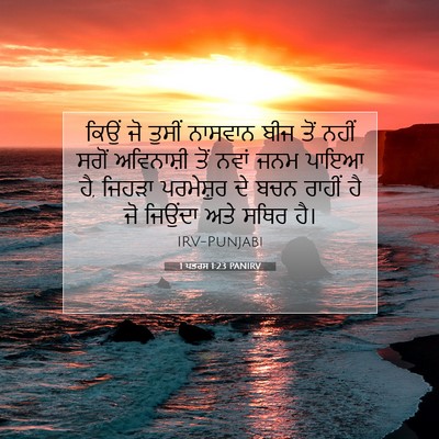 Picture 07 - 1 ਪਤਰਸ 1:23 PANIRV - ਕਿਉਂ ਜੋ ਤੁਸੀਂ - Bible Verse Picture