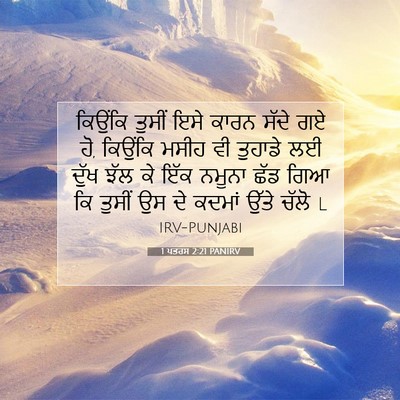 Picture 07 - 1 ਪਤਰਸ 2:21 PANIRV - ਕਿਉਂਕਿ ਤੁਸੀਂ ਇਸੇ - Bible Verse Picture