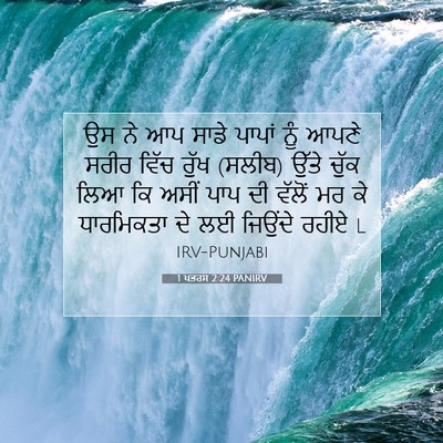 Picture 07 - 1 ਪਤਰਸ 2:24 PANIRV - ਉਸ ਨੇ ਆਪ ਸਾਡੇ ਪਾਪਾਂ - Bible Verse Picture