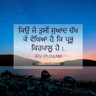 Picture 07 - 1 ਪਤਰਸ 2:3 PANIRV - ਕਿਉਂ ਜੋ ਤੁਸੀਂ ਸੁਆਦ - Bible Verse Picture