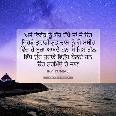 Picture 07 - 1 ਪਤਰਸ 3:16 PANIRV - ਅਤੇ ਵਿਵੇਕ ਨੂੰ - Bible Verse Picture