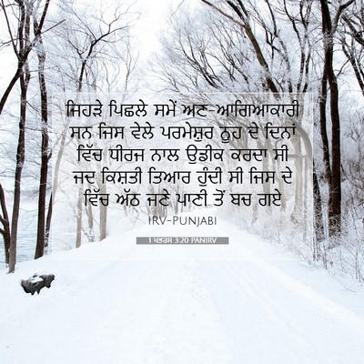 Picture 07 - 1 ਪਤਰਸ 3:20 PANIRV - ਜਿਹੜੇ ਪਿਛਲੇ ਸਮੇਂ - Bible Verse Picture