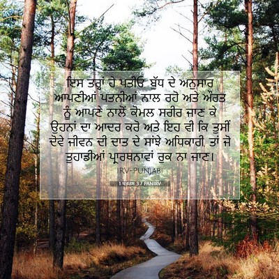 Picture 07 - 1 ਪਤਰਸ 3:7 PANIRV - ਇਸ ਤਰ੍ਹਾਂ ਹੇ ਪਤੀਓ, - Bible Verse Picture
