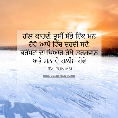 Picture 07 - 1 ਪਤਰਸ 3:8 PANIRV - ਗੱਲ ਕਾਹਦੀ, ਤੁਸੀਂ - Bible Verse Picture