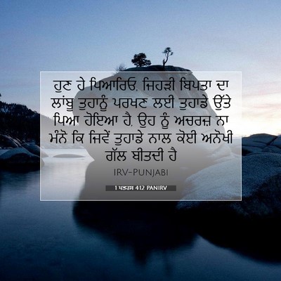 Picture 07 - 1 ਪਤਰਸ 4:12 PANIRV - ਹੁਣ ਹੇ ਪਿਆਰਿਓ, - Bible Verse Picture
