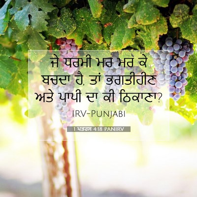 Picture 07 - 1 ਪਤਰਸ 4:18 PANIRV - ਜੇ ਧਰਮੀ ਮਰ ਮਰ ਕੇ - Bible Verse Picture