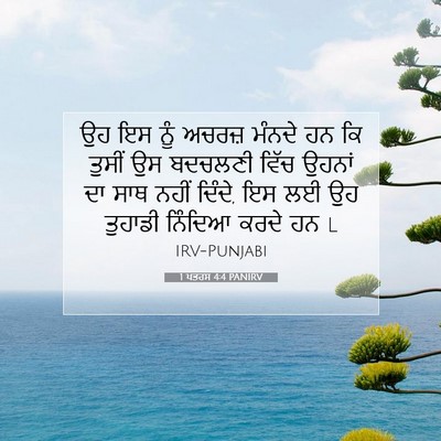Picture 07 - 1 ਪਤਰਸ 4:4 PANIRV - ਉਹ ਇਸ ਨੂੰ ਅਚਰਜ਼ - Bible Verse Picture
