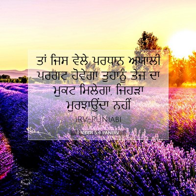 Picture 07 - 1 ਪਤਰਸ 5:4 PANIRV - ਤਾਂ ਜਿਸ ਵੇਲੇ ਪਰਧਾਨ - Bible Verse Picture