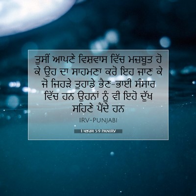 Picture 07 - 1 ਪਤਰਸ 5:9 PANIRV - ਤੁਸੀਂ ਆਪਣੇ - Bible Verse Picture