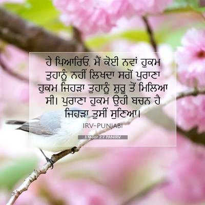 Picture 07 - 1 ਯੂਹੰਨਾ 2:7 PANIRV - ਹੇ ਪਿਆਰਿਓ, ਮੈਂ ਕੋਈ - Bible Verse Picture