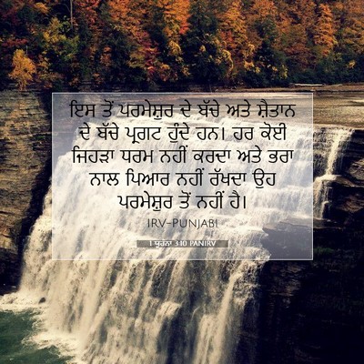 Picture 07 - 1 ਯੂਹੰਨਾ 3:10 PANIRV - ਇਸ ਤੋਂ ਪਰਮੇਸ਼ੁਰ ਦੇ - Bible Verse Picture