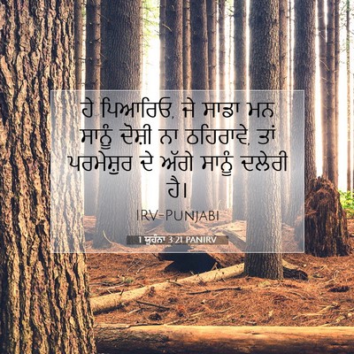 Picture 07 - 1 ਯੂਹੰਨਾ 3:21 PANIRV - ਹੇ ਪਿਆਰਿਓ, ਜੇ ਸਾਡਾ - Bible Verse Picture
