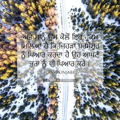 Picture 07 - 1 ਯੂਹੰਨਾ 4:21 PANIRV - ਅਤੇ ਸਾਨੂੰ ਉਸ ਕੋਲੋਂ - Bible Verse Picture