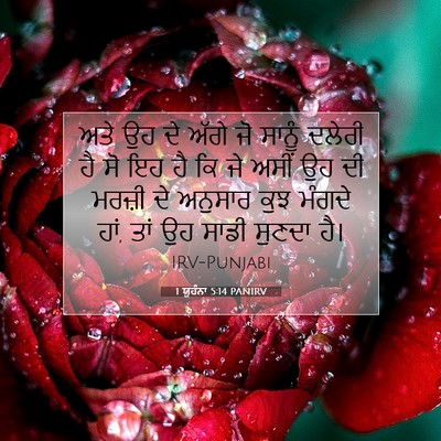 Picture 07 - 1 ਯੂਹੰਨਾ 5:14 PANIRV - ਅਤੇ ਉਹ ਦੇ ਅੱਗੇ ਜੋ - Bible Verse Picture