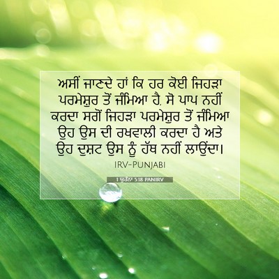 Picture 07 - 1 ਯੂਹੰਨਾ 5:18 PANIRV - ਅਸੀਂ ਜਾਣਦੇ ਹਾਂ ਕਿ - Bible Verse Picture