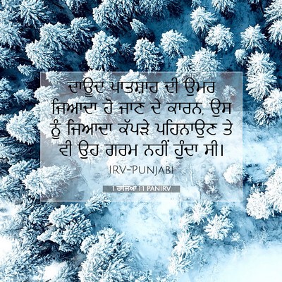 Picture 07 - 1 ਰਾਜਿਆਂ 1:1 PANIRV - ਦਾਊਦ ਪਾਤਸ਼ਾਹ ਦੀ - Bible Verse Picture