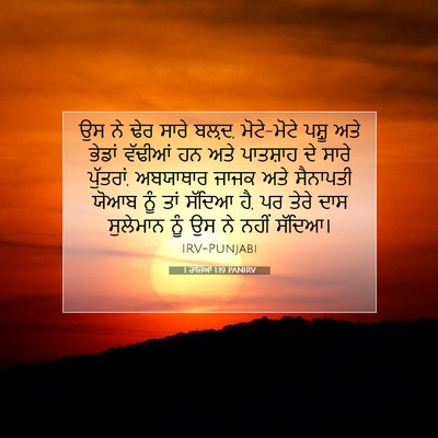 Picture 07 - 1 ਰਾਜਿਆਂ 1:19 PANIRV - ਉਸ ਨੇ ਢੇਰ ਸਾਰੇ - Bible Verse Picture