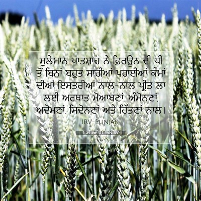 Picture 07 - 1 ਰਾਜਿਆਂ 11:1 PANIRV - ਸੁਲੇਮਾਨ ਪਾਤਸ਼ਾਹ - Bible Verse Picture