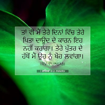 Picture 07 - 1 ਰਾਜਿਆਂ 11:12 PANIRV - ਤਾਂ ਵੀ ਮੈਂ ਤੇਰੇ - Bible Verse Picture