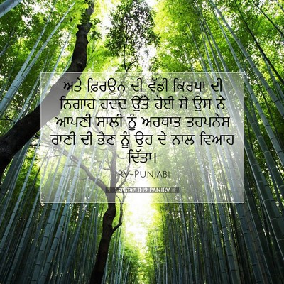 Picture 07 - 1 ਰਾਜਿਆਂ 11:19 PANIRV - ਅਤੇ ਫ਼ਿਰਊਨ ਦੀ ਵੱਡੀ - Bible Verse Picture