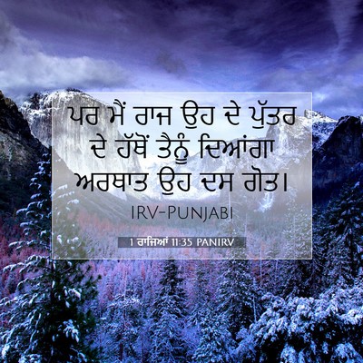 Picture 07 - 1 ਰਾਜਿਆਂ 11:35 PANIRV - ਪਰ ਮੈਂ ਰਾਜ ਉਹ ਦੇ - Bible Verse Picture