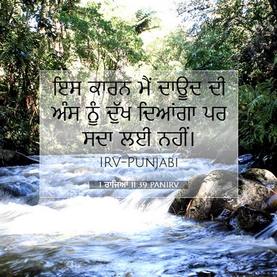 Picture 07 - 1 ਰਾਜਿਆਂ 11:39 PANIRV - ਇਸ ਕਾਰਨ ਮੈਂ ਦਾਊਦ ਦੀ - Bible Verse Picture