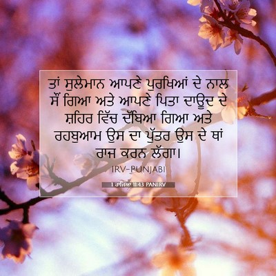Picture 07 - 1 ਰਾਜਿਆਂ 11:43 PANIRV - ਤਾਂ ਸੁਲੇਮਾਨ ਆਪਣੇ - Bible Verse Picture