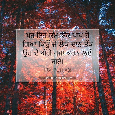 Picture 07 - 1 ਰਾਜਿਆਂ 12:30 PANIRV - ਪਰ ਇਹ ਕੰਮ ਇੱਕ ਪਾਪ - Bible Verse Picture