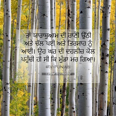 Picture 07 - 1 ਰਾਜਿਆਂ 14:17 PANIRV - ਤਾਂ ਯਾਰਾਬੁਆਮ ਦੀ - Bible Verse Picture