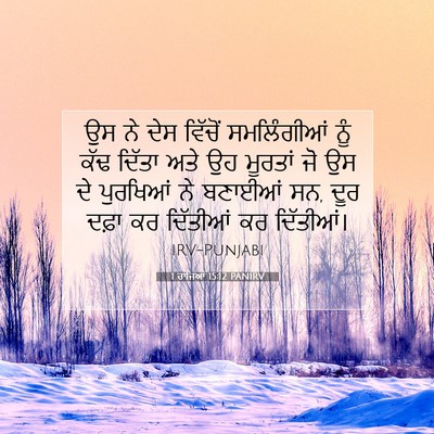 Picture 07 - 1 ਰਾਜਿਆਂ 15:12 PANIRV - ਉਸ ਨੇ ਦੇਸ ਵਿੱਚੋਂ - Bible Verse Picture