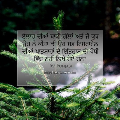 Picture 07 - 1 ਰਾਜਿਆਂ 16:14 PANIRV - ਏਲਾਹ ਦੀਆਂ ਬਾਕੀ - Bible Verse Picture