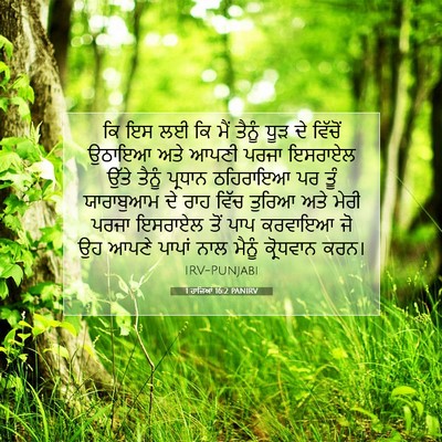 Picture 07 - 1 ਰਾਜਿਆਂ 16:2 PANIRV - ਕਿ ਇਸ ਲਈ ਕਿ ਮੈਂ - Bible Verse Picture